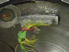 r229.jpg